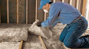 Best Eco-Friendly Insulation Solutions  in Chebanse, IL